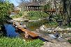 Japanese Garden in the Botanical Garden, Belgrade (Photo: Dragan Bosnić)